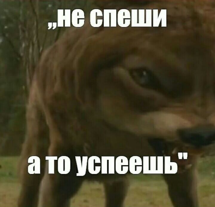 а УБПБВШЬ