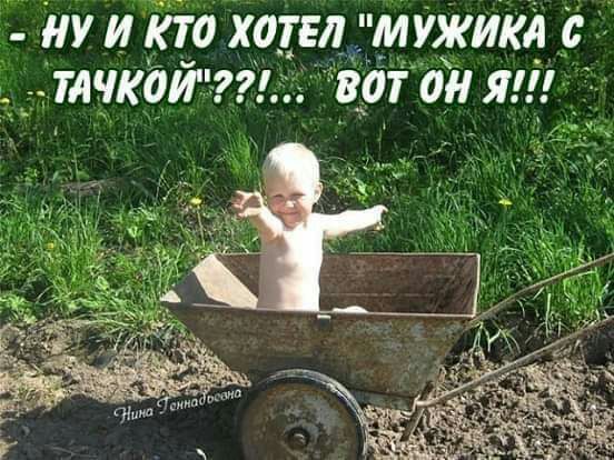 НУ И КТО ХОТЕЛ МУЖИКА ТАЧКОИ
