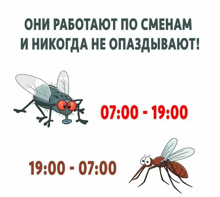 ОНИ РАБОТАЮТ ПО СМЕНАМ И НИКОГДА НЕ ОПАЗДЫВАЮТ 0700 1900 1900 0700