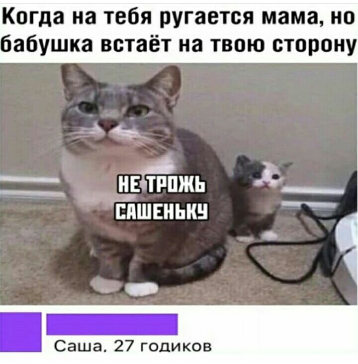 Когда на тебя ругается мама но бабушка встаёт на твою сторону тппжь Еяшвнькн Саша 27 годиков