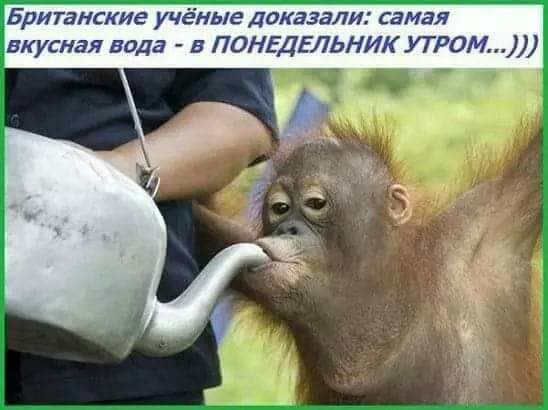 БРИТЗНСКИЕ УЧЁНЫЕ ДОКЗЗЗ И СЗЧЗЯ