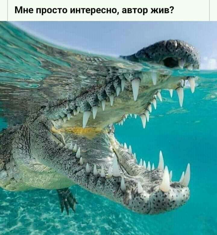 Мне просто интересно автор жив