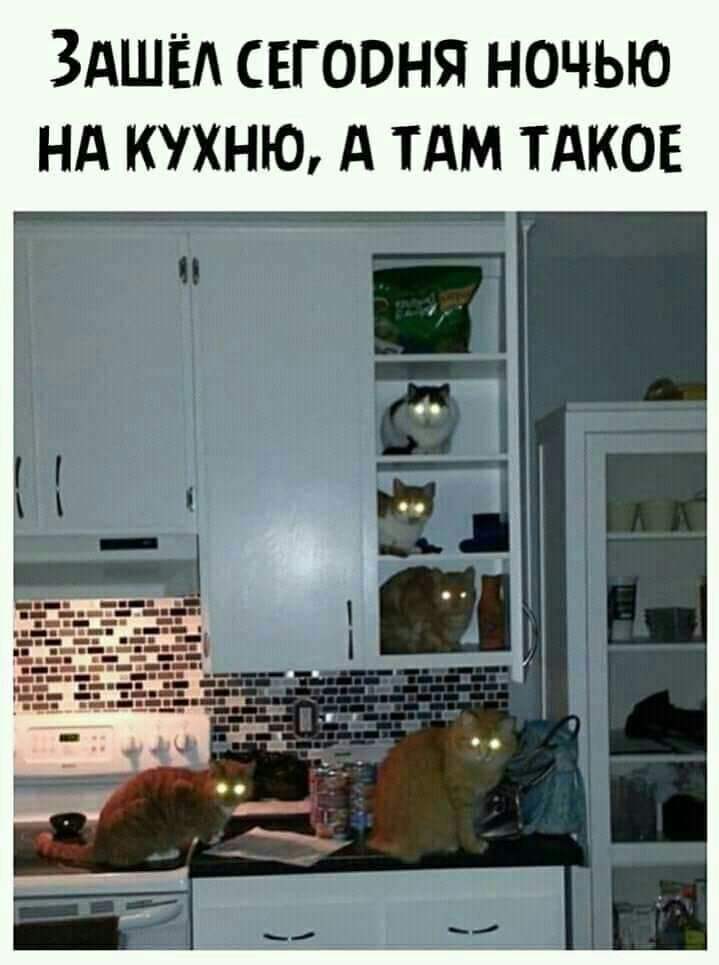 ЗАШЁА СЕГООНЯ НОЧЬЮ НА КУХНЮ д ТАМ ТАКОЕ