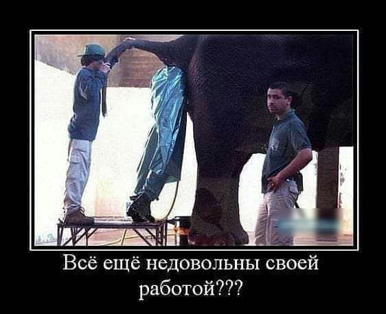 Всё ещё недовольны своей работой