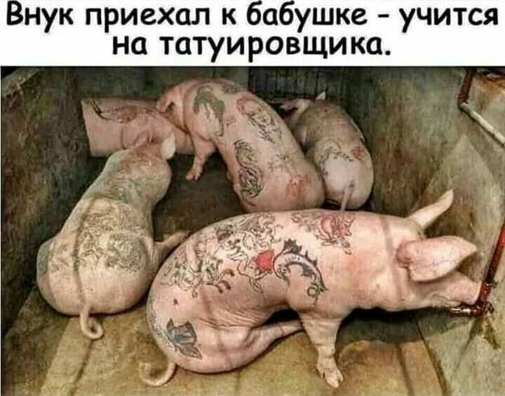 Внук приехал к вабушке учится на татуировщика