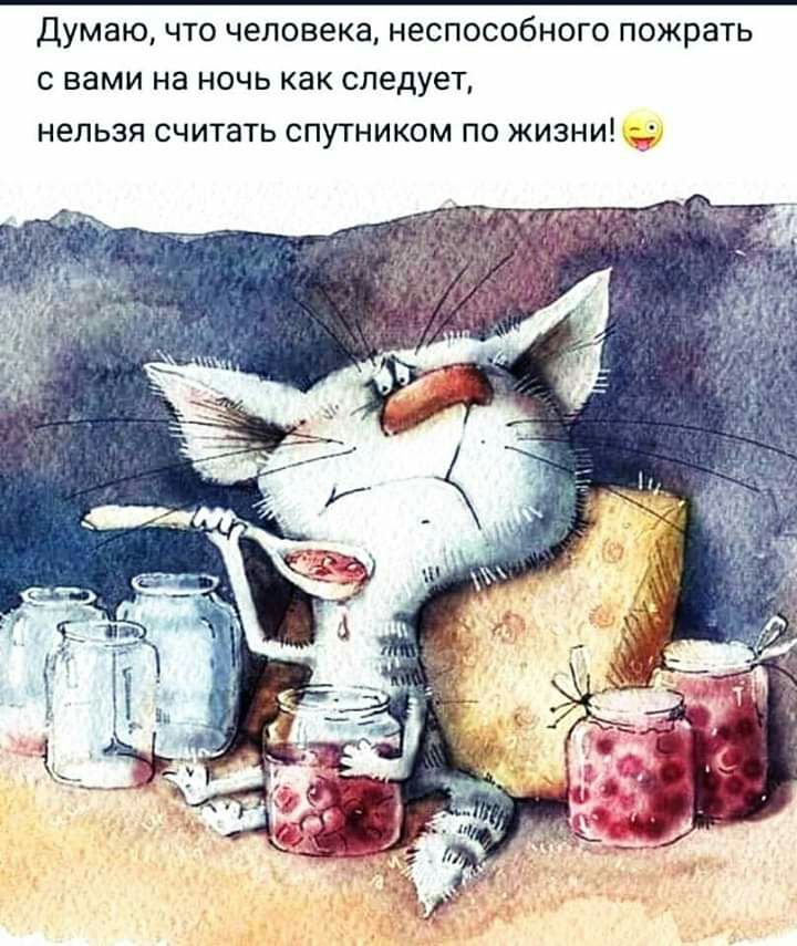 думаючто человека неспособного пожрать с вами на ночь как следует НЭПЬЗЯ СЧИТЭТЬ СПУТНИКОМ ПО ЖИЗНИ щуп _