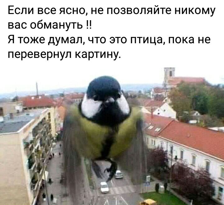 Если все ясно не позволяйте никому вас обмануть Я Тоже думал ЧТО ЭТО ПТИЦЭ пока не перевернул картину