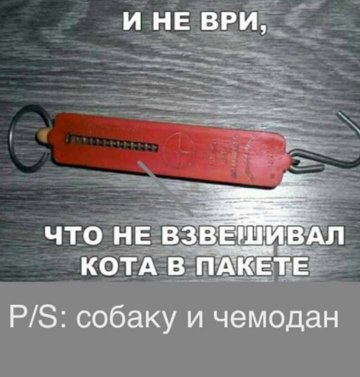 и НЕ в_ви_ _ ь __ _ РЗ собаку и чемодан