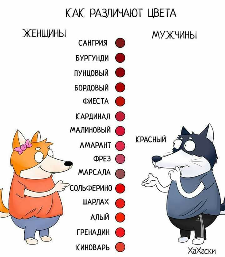 КАК РАЗЛИЧАЮТ ЦВЕТА ЖЕНЩИНЫ САНГРИЯ вургунди пунцовыи БОРДОВЫЙ ФИЕСТА КАРДИНАЛ МАЛИНОВЫЙ АМАРАНТ ФРЕЗ МАРСАЛА сольшврино ШАРЛАХ АЛЫЙ ГРЕНАДИН киновмзь МУЖЧИНЫ КРАСНЫЙ