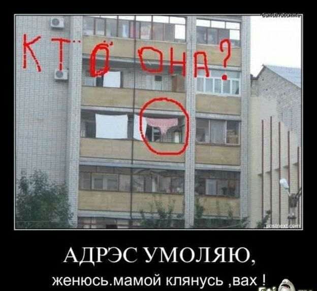 АДРЭС УМОЛЯЮ женюсьмамой клянусь вах