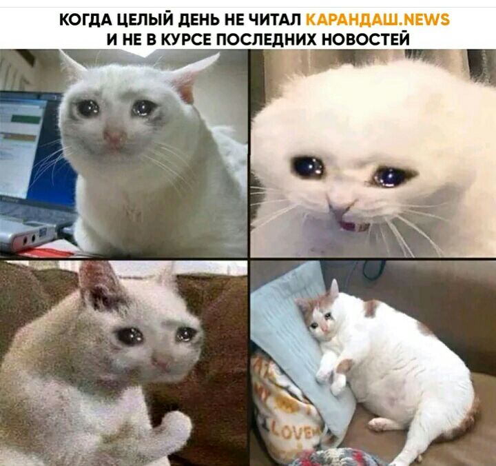 КОГДА ЦЕЛЫЙ дЕНЬ НЕ ЧИТАЛ И НЕ В КУРСЕ ПОСЛЕДНИХ НОВОСТЕЙ пт