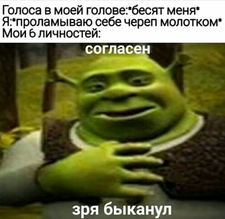 Голоса в моей головебесят меня Япроламываю_себе череп молотком Мои 6 личностеи согласен зря быканул