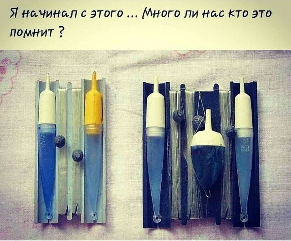 Я Намнил с этого Много ли нас кто эти помит