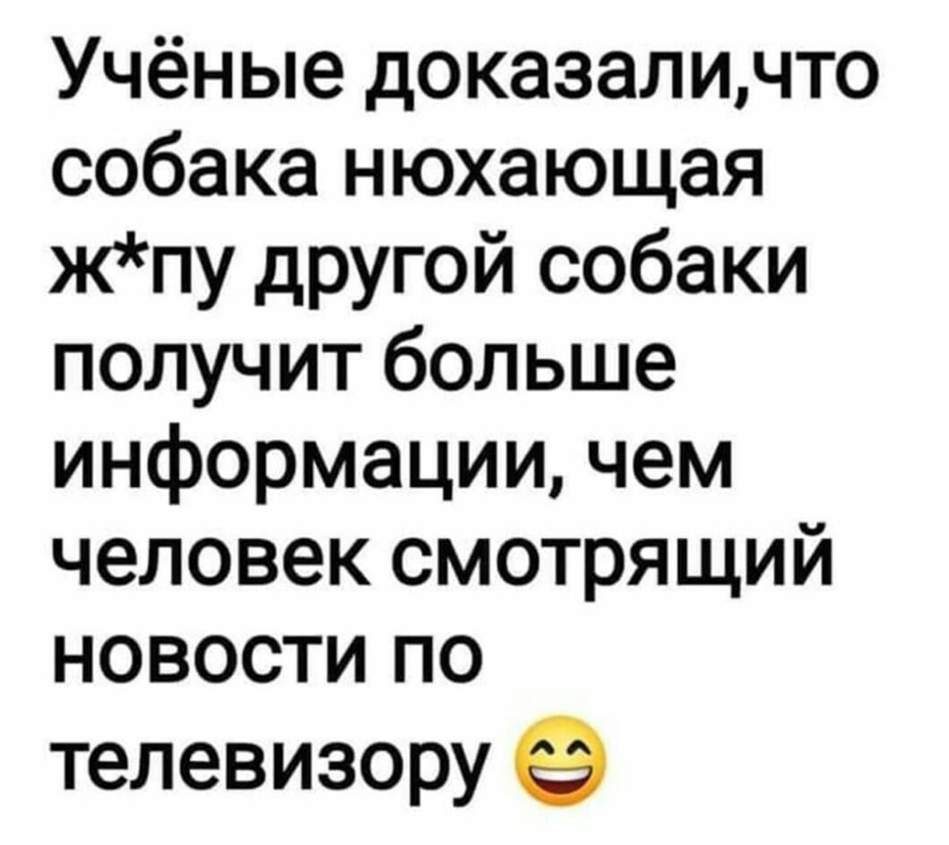 Учёные доказаличто собака нюхающая жпу другой собаки получит больше информации чем человек смотрящий новости по телевизору