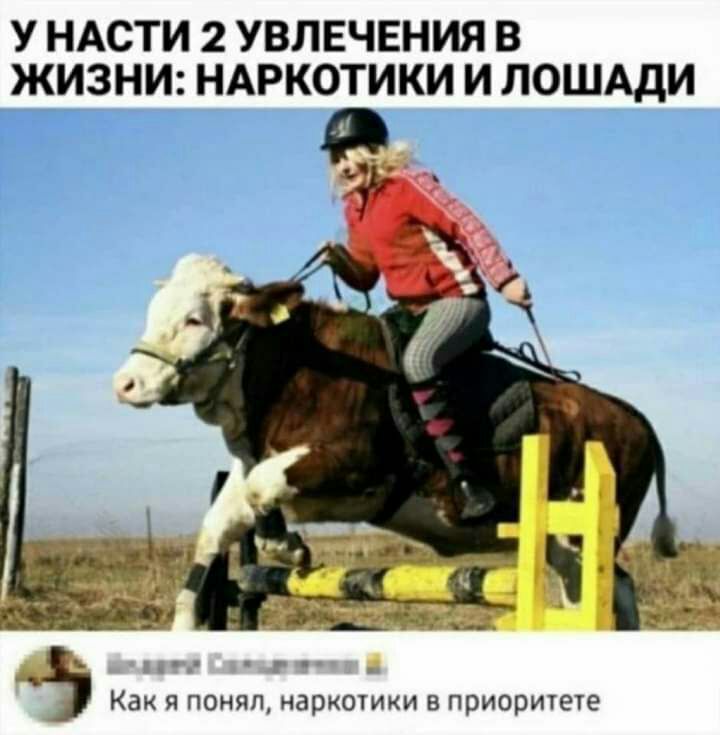 У НАСТИ 2 УВЛЕЧЕНИЯ В ЖИЗНИ НАРКОТИКИ И ЛОШАДИ г и Как я понял наркошки в приоритете