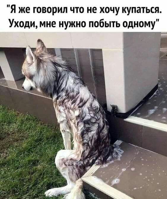 Я же говорил что не хочу купаться Уходи мне нужно побыть одному