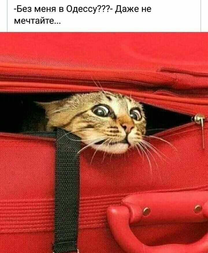 Без меня в Одессу Даже не мечтайте