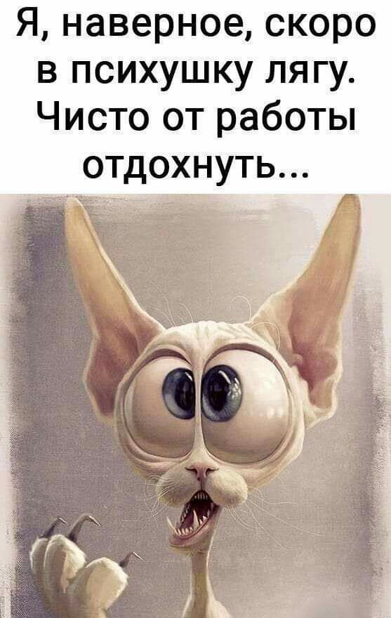 Я наверное скоро в психушку лягу Чисто от работы ОТДОХНУТЬ _