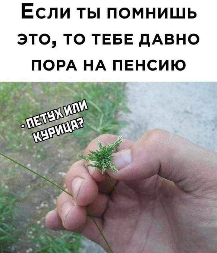 ЕСЛИ ТЫ ПОМНИШЬ ЭТО ТО ТЕБЕ дАВНО ПОРА НА ПЕНСИЮ
