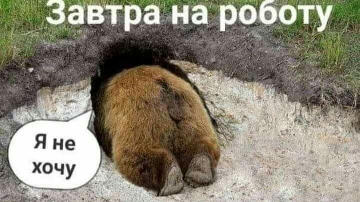 _ ЗЧВТраэна ьроботу