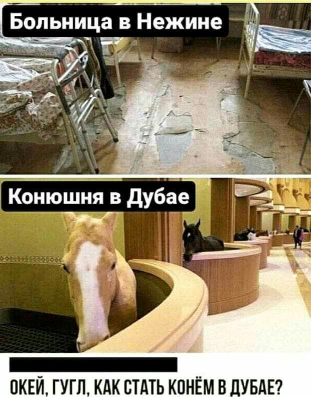 Больница в Нежине ПКЕЙ ГУГЛ КАК СТАТЬ КОНЁМ В ЛУБАЕ