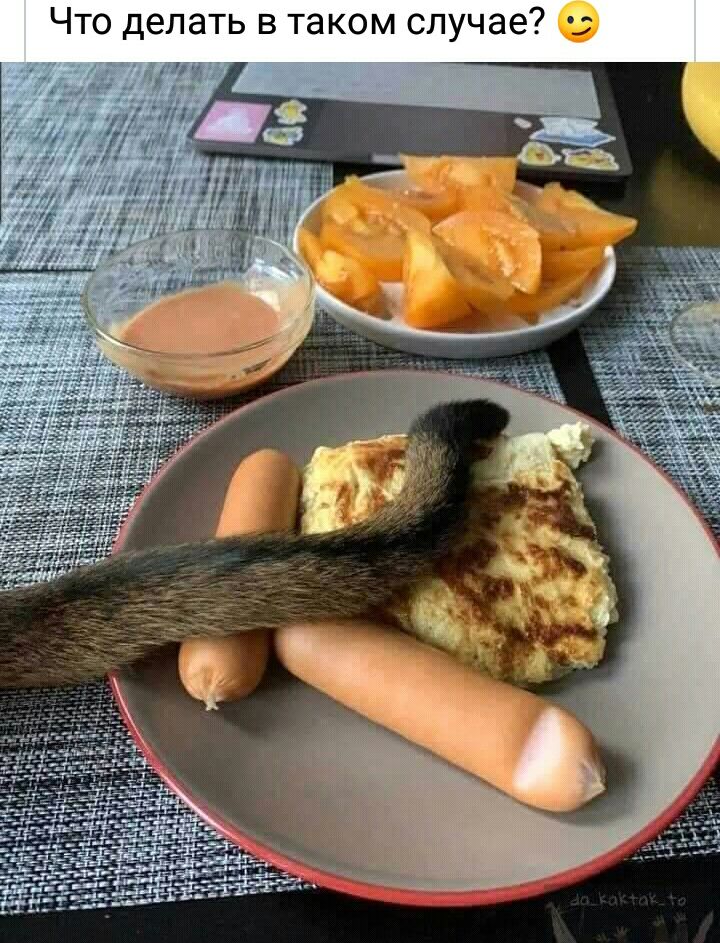 Что делать в таком случае