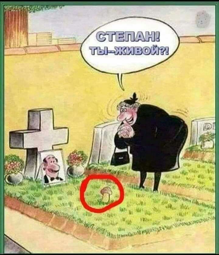 ТЁШШЮЦ