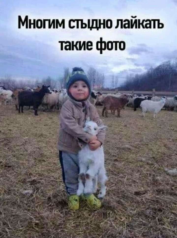 Многим стъщно лайкать такие фто