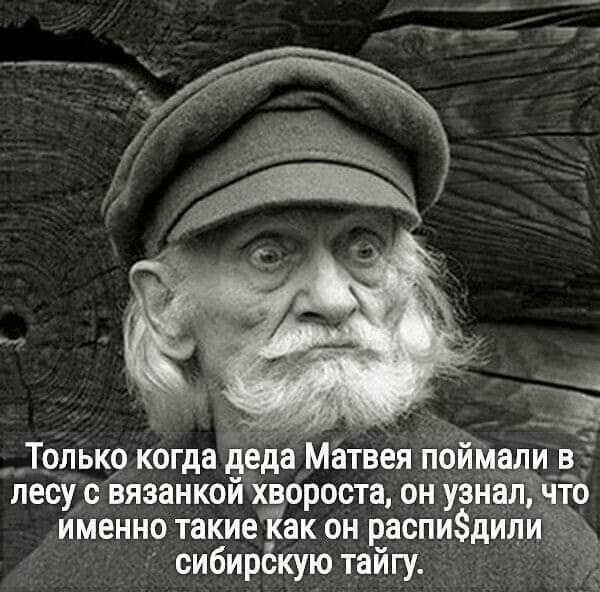 только когда деда Матвея по лесу с вязанкой хвороста он уанадіічтЪ Именно такиеЁак _он распидИлИ си6ирё кую тайгу