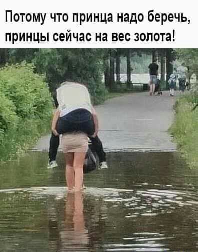 Потому что принца надо беречь принцы сейчас на вес золота