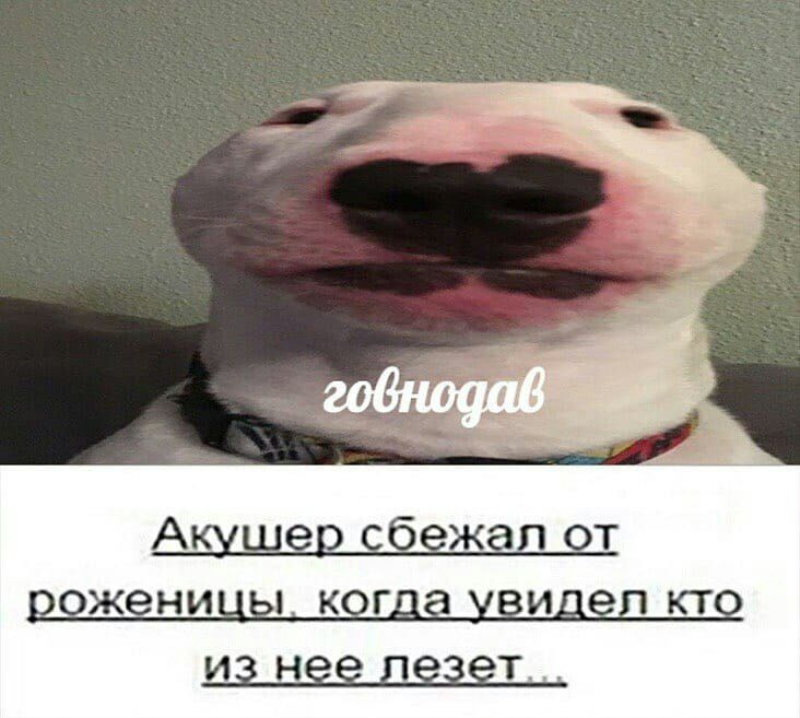 А жени к и н