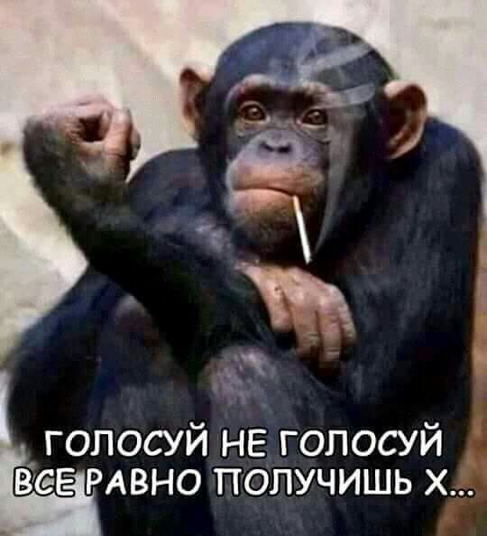 голосуй НЕ голосуй _ ваЕ РАВНО получишь х