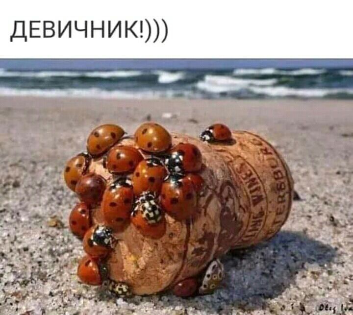 ДЕВИЧНИК