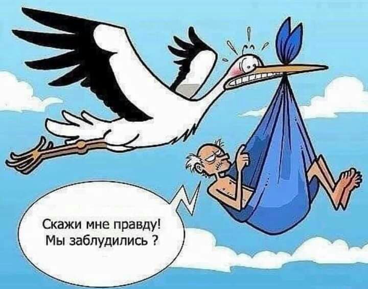 Скажи мне правду Мы заблудились