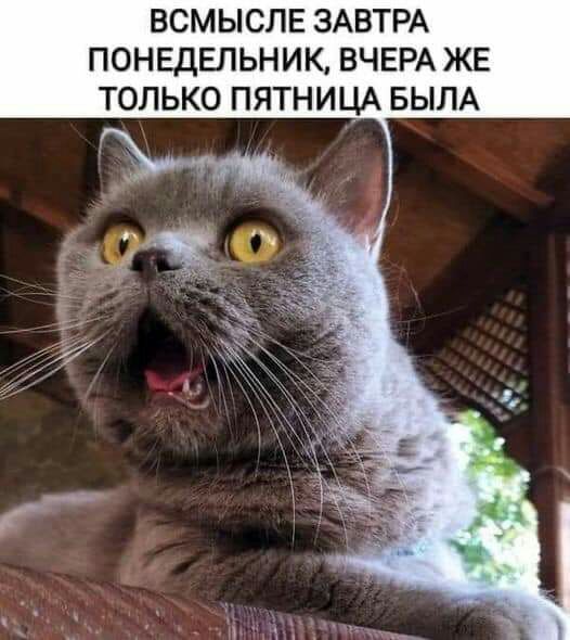ВСМЫСЛЕ ЗАВТРА ПОНЕДЕЛЬНИК ВЧЕРА ЖЕ ТОЛЬКО ПЯТНИЦА БЫЛА