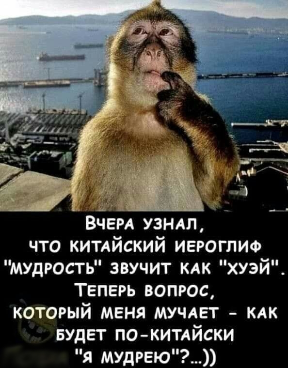 ВЧЕРА узнш что КИТАЙСКИЙ иероглиф мудрость звучит КАК хуэй ТЕПЕРЬ вопрос который меня мучмзт кдк БУДЕТ по китдйски я мудрвю
