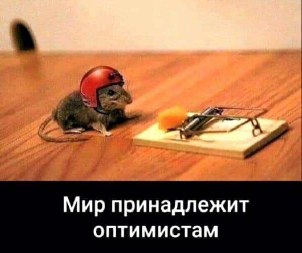 Мир принадлежит оптимистам