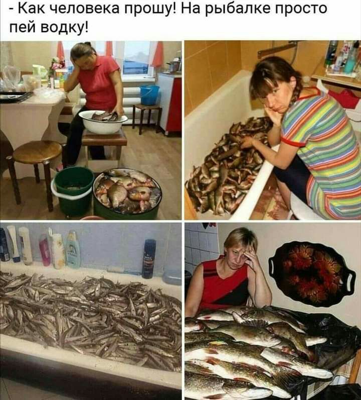 Как человека прошу На рыбалке просто пей водку