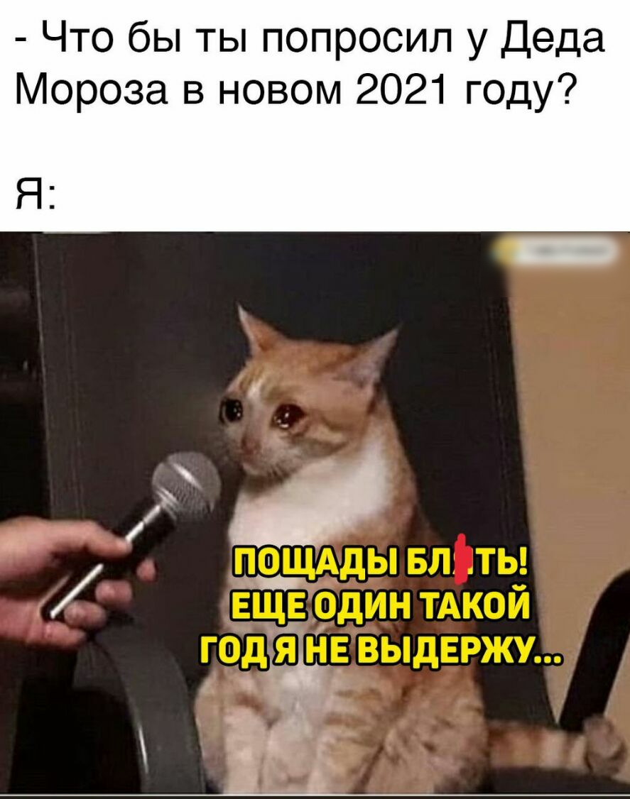 Что бы ты попросил у Деда Мороза в новом 2021 году Я