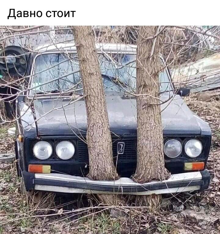 Давно стоит