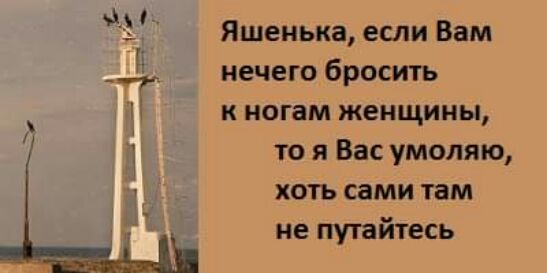 Яшенька если Вам __ нечего бросить к ногам женщины то я Вас умоляю хоть сами там не путайтесь
