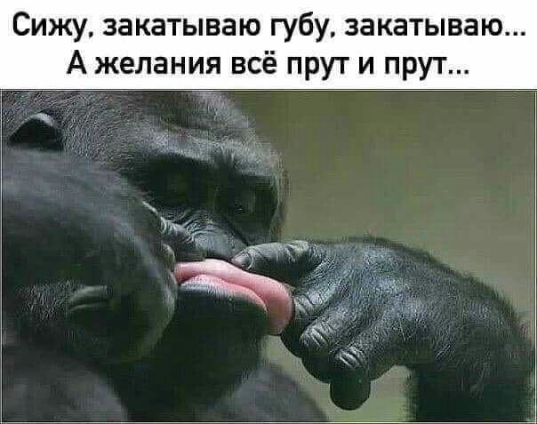 Сижу закатываю губу закатываю А желания всё прут и прут