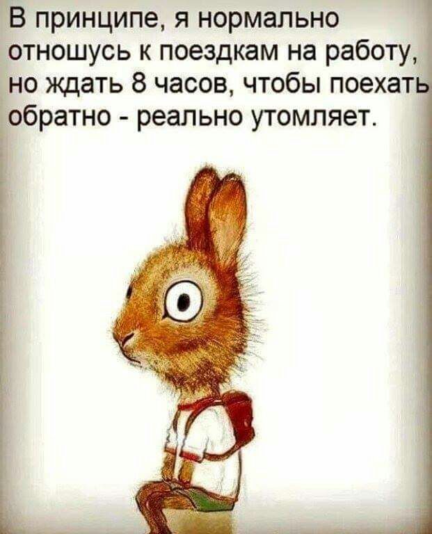 В принципе я нормально отношусь к поездкам на работу но ждать 8 часов чтобы поехат добратно реально утомляет