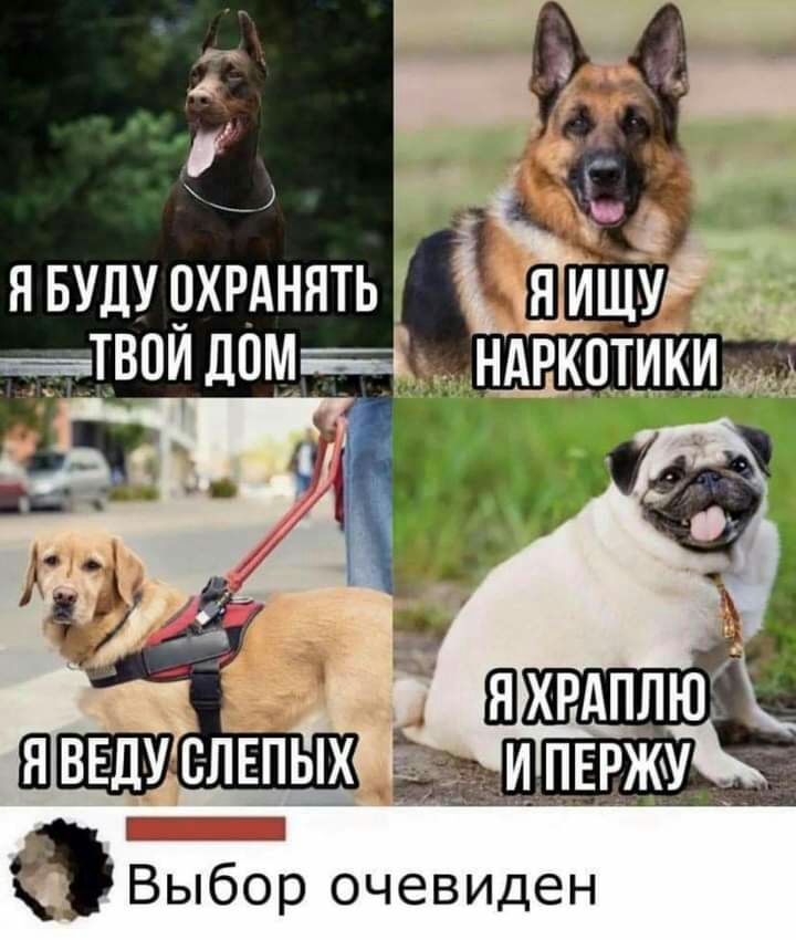 я вуду рхвднять вии дом д