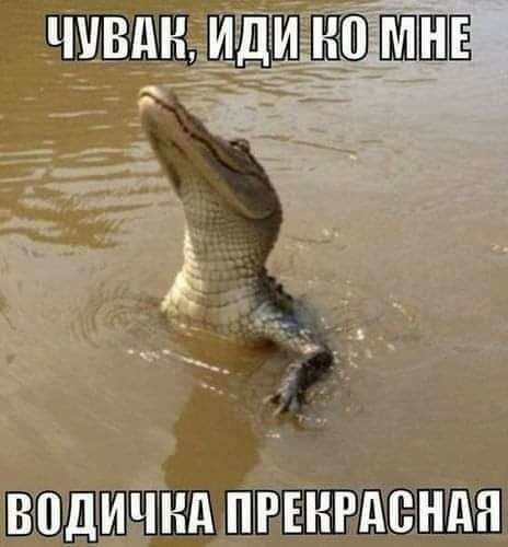 ШЁ ВЩШЖШЁШЁЦЕЖП