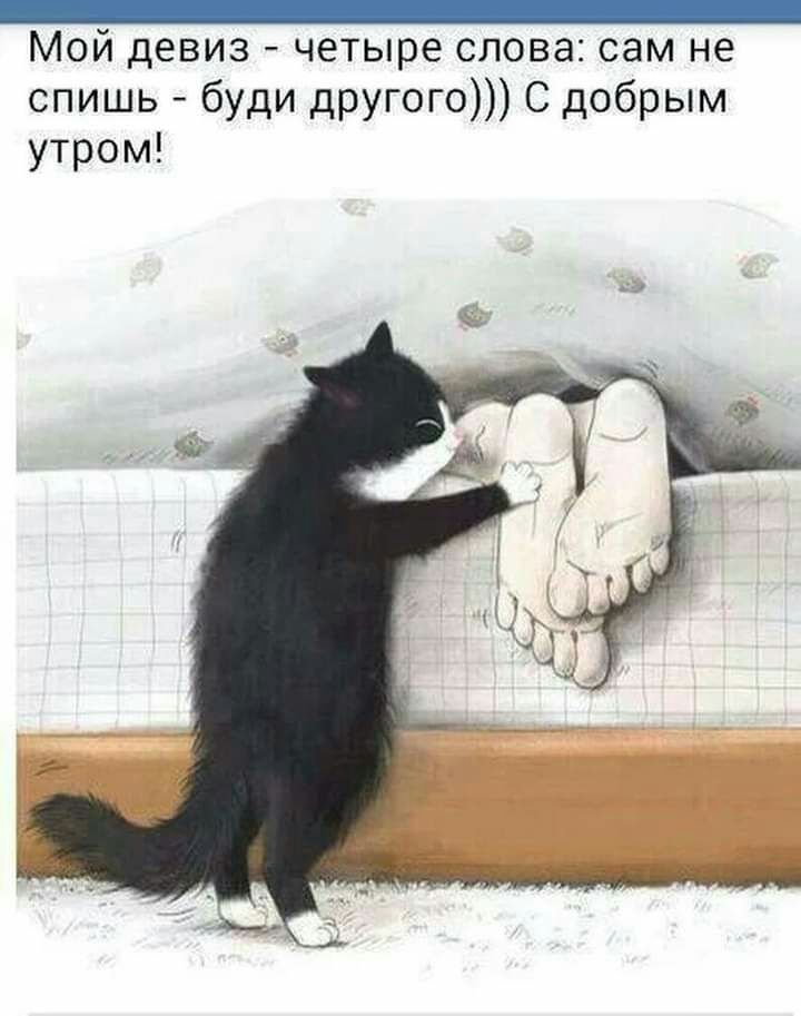 _ Мой девиз четыре слова сам не спишь буди другого С добрым утром