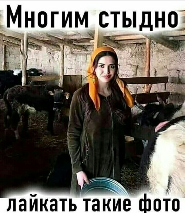 Многим стоыдн _ хг ч _ 1 4 г 9 О лайкать такие ноіо