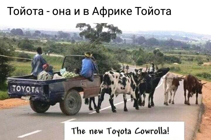 Тойота она и в Африке Тоиота ТМ пш Точоіа СошгоЫ