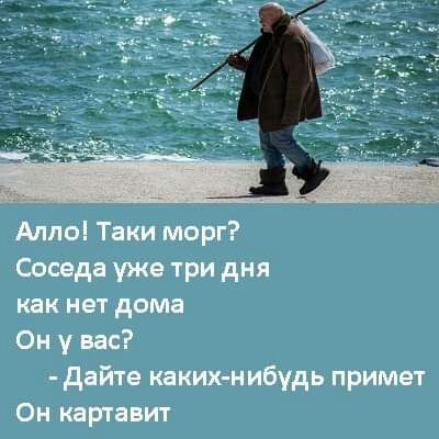Алло Таки морг Соседи уже три дня как нет дома Он у вас двйтв каких нибудь примат Он картавит