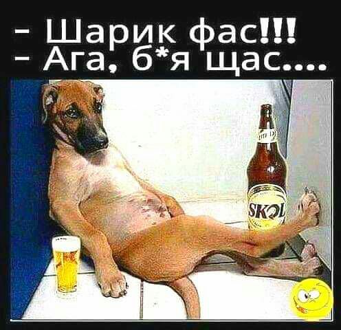 Ша ик ас бгабяфщас